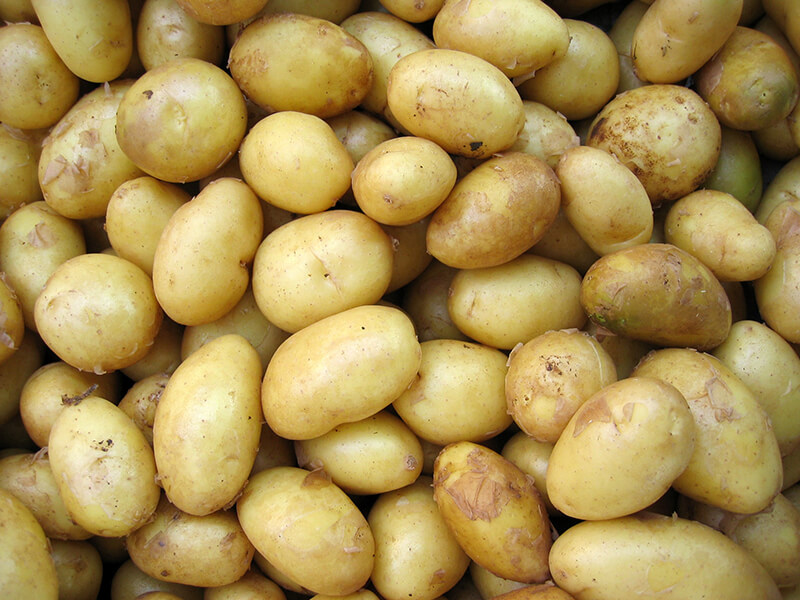 potato fertilizers