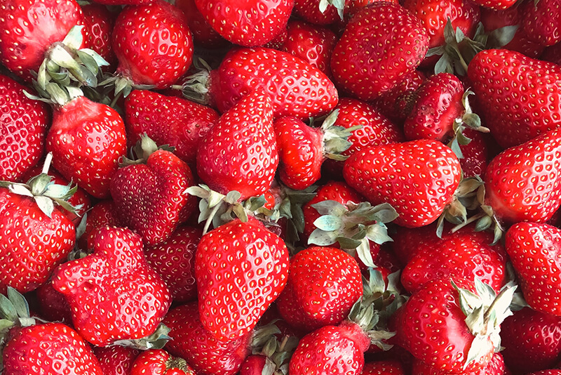 strawberry fertilizers