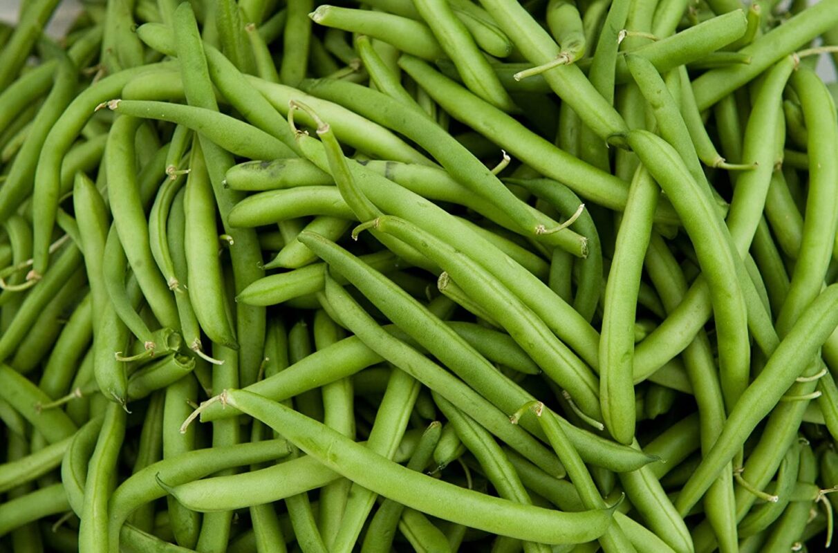 nordfert beans fertilizers